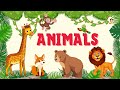 Animals Vocabulary in English | English For Kids