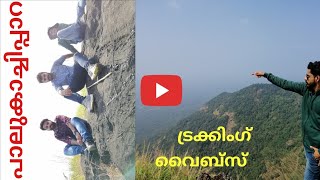 പാലുകാച്ചിപ്പാറ കണ്ണൂർ | palukachipara 😍trekking reviews