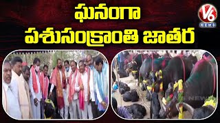 Pashu Sankranthi Celebrations at Narsing | V6 News