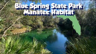 Florida’s Blue Spring State Park - an incredible natural Manatee Habitat