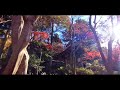 185.秋の【瑞宝寺公園】神戸市 有馬温泉にある紅葉で有名な瑞宝寺公園✨ あの豊臣秀吉も愛した風情たっぷりの名所です🌈 お茶屋さんも素敵なメニューいっぱいです✨ 動画は11月です👍 ワンちゃんok✨