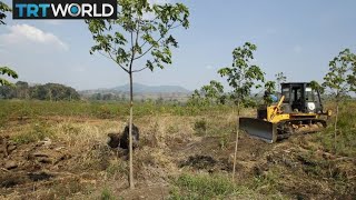 Cambodian village elders hope to save forests | Money Talks