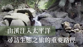 【浩克慢遊小旅行】山裡的天堂 此曾在的斯卡羅 欖仁溪瀑布 ｜ 港口 里德｜#旅行｜公視＋追全季