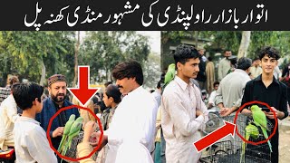 New Sunday Birds Market Rawalpindi Khanna pull | Sunday Birds Market Update | Khanna Pull