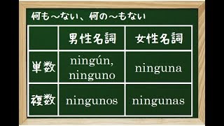 Lección 142　ninguno,ninguna,ninguonosなどなど☆スペイン語レッスン☆