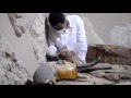 3 500 year old egyptian tomb explored what was inside national geographic