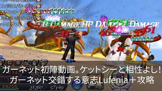 【DFFOO】ガーネット初陣！ケットシーと組むとグラディオが化ける？ガーネット交錯する意志Lufenia＋攻略