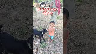 #గరికపాటి వారి ప్రవచనం 🤗 #kids noise #మా పిల్లలైతే బాగా అల్లరి చేస్తారండి😇#మరి మీ పిల్లలు? Subscribe