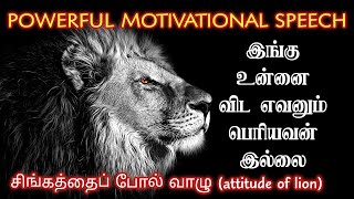 lion mentality | LION ATTITUDE in tamil | king | im story circle