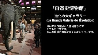 「進化の大ギャラリー(La Grande Galerie de lÉvolution)」＠パリ（フランス）