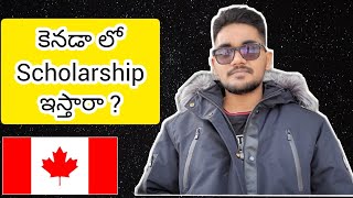 🇨🇦🤍 Will Students get Scholarships in Canada ? 🤍🇨🇦