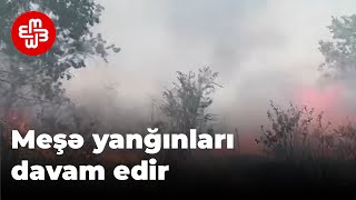 Qəbələ, Şabran, Quba və Siyəzən rayonlarında dağlıq relyefdə meşələr yanır