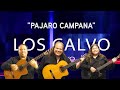 LOS HERMANOS CALVO - PAJARO CAMPANA