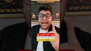 قیمت هر واحد همستر! 🤯