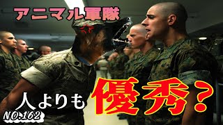 【世界大戦】自滅もかなり多かった！？動物兵器を解説してみた！