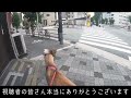 検診の結果に驚愕…グレートデン子犬