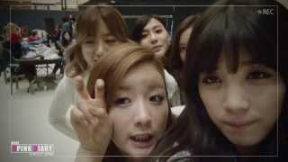 140131 Apink Mini Diary 'Happy New Year 2014'