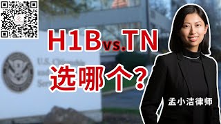 H1B vs TN，哪种签证更适合您？