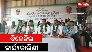 BJD's extended executive committee meeting begins in Bhubaneswar | Kalinga TV