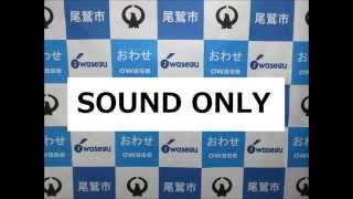 尾鷲市議会 平成27年8月3日 総務産業常任委員会