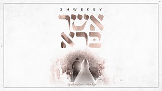 יעקב שוואקי - אשר ברא | (ft. Menachem Shwekey) Yaakov Shwekey - Asher Bara