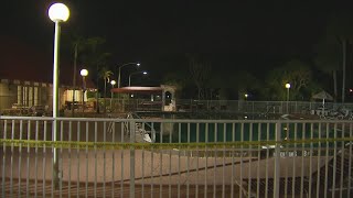 Boy saves 13-year-old girl from nearly drowning