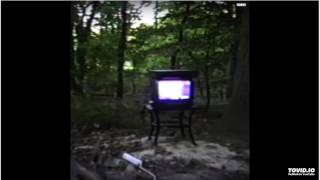 Bones - Branches