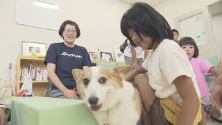 動物愛護週間にあわせて親子ふれあいフェスタ 正しい飼育について理解を深めて