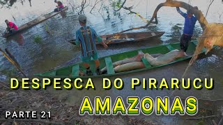 CAMPING AT LAGO DO ANZOL - PIRARUCU DESPESCA - VIDEO 21