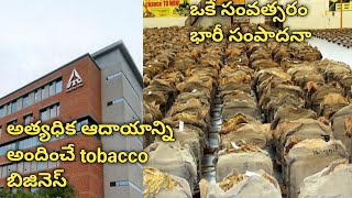 Tobacco Business * లక్షలు కురిపించే.. బిజినెస్