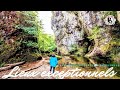 Lieux insolites dans le CANTAL ! A connaitre absolument ! Détails en description sous la vidéo⬇️