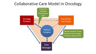 Implementing the Collaborative Care Model (Jesse Fann, MD, MPH)