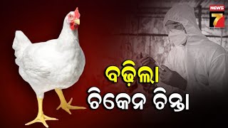 ବଢ଼ିଲା ଚିକେନ ଚିନ୍ତା | MUDDA | August 27, 2024 | PrameyaNews7