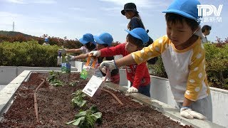 阿南市役所の屋上庭園で苗植え