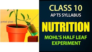 #Nutrition 10th Lesson 1 | Mohl's Half Leaf Experiment |AP & TS syllabus | Class 10th Biology ch-1