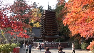 【4K】奈良･談山神社 Tanzan-jinja Shrine in Nara, Japan