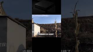 福建挖出疑似孫悟空墓，墓中出土文物引深思，歷史上有這個人嗎？