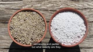 Vermiculite vs Perlite: What's the difference?