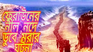 মূসা (আঃ) এর নদী পার এবং ফেরাউনের নীল নদে ডুবে মরার ঘটনা