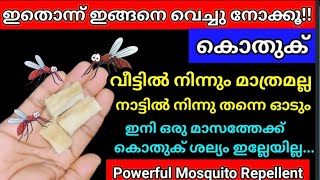 💯വീടിനകത്ത്‌ ഒരു കൊതുക് പോലും വരില്ല, ഉള്ള കൊതുകുകൾ വരെ പമ്പ കടക്കും||Kothukine thurathan malayalam