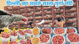 ग़ाज़ीपुर मुर्ग़ा बाज़ार दिल्ली 2024 |Ghazipur Murga Mandi Delhi Today Price|wholesale chiken mandi|