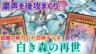 【遊戯王フリー対戦】2500ならなんでもアリ⁉︎最強の環境デッキに挑め‼︎ 白き森リジェネシスvs粛声