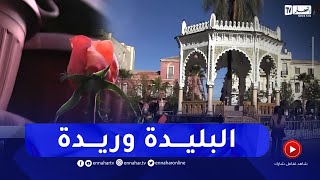 البليدة : مدينة تصارع الزمان والأجيال للحفاظ على لقب  مدينة الورود