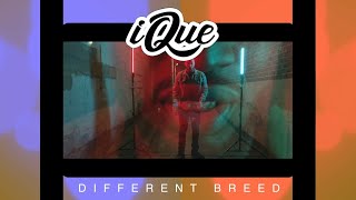 iQue- Different Breed | Official Music Video