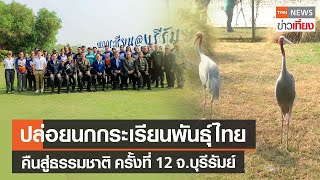 ปล่อยนกกระเรียนพันธุ์ไทย คืนสู่ธรรมชาติ ครั้งที่ 12 ณ จ.บุรีรัมย์ | TNN ข่าวเที่ยง | 6-2-67