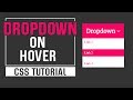 Dropdown On Hover CSS | Pure CSS Tutorial