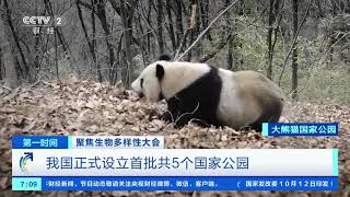 [第一时间]聚焦生物多样性大会 我国正式设立首批共5个国家公园|CCTV财经