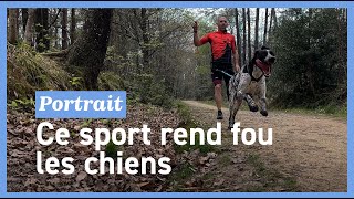 Le canicross, ce sport où l'Homme et le chien ne font qu'un