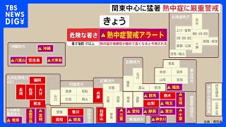 関東中心に猛暑　熱中症に厳重警戒　北陸や東北、九州北部は激しい雨や雷雨になるおそれ【予報士解説】｜TBS NEWS DIG