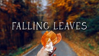 Falling Leaves 🍁 - An Autumn Aesthetic Indie/Folk/Acoustic Playlist